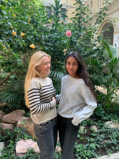 Matilde W striktrøje med pynte knapper - grå